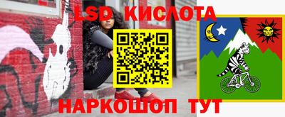 хмурый Новозыбков