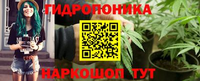 стафф Новодвинск