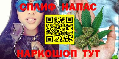 дмт Новокубанск
