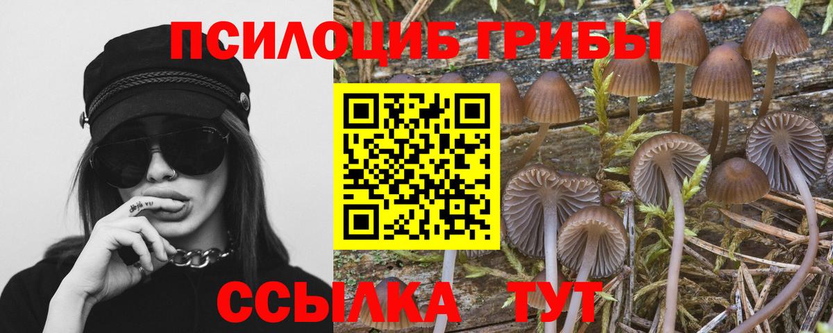 Галлюциногенные грибы мицелий Таганрог